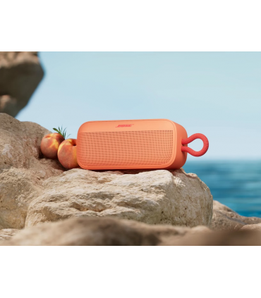 SoundLink Plus